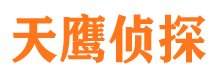 武陵侦探